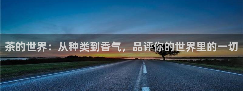 金年会综合APP