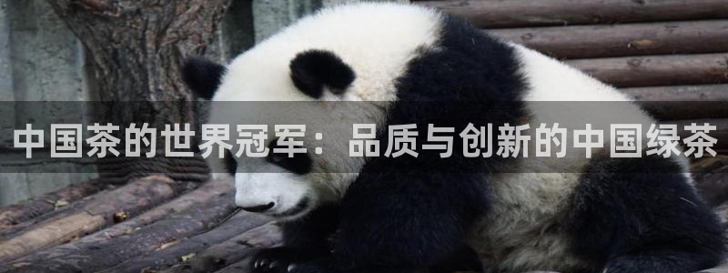 金年会平台是什么