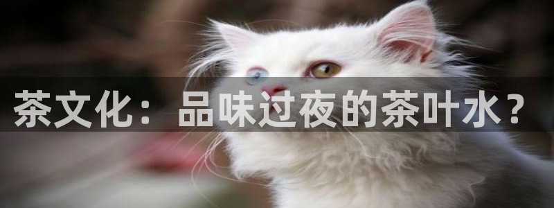 金年会是啥