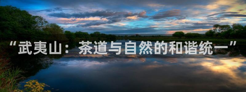 金年会入口网站