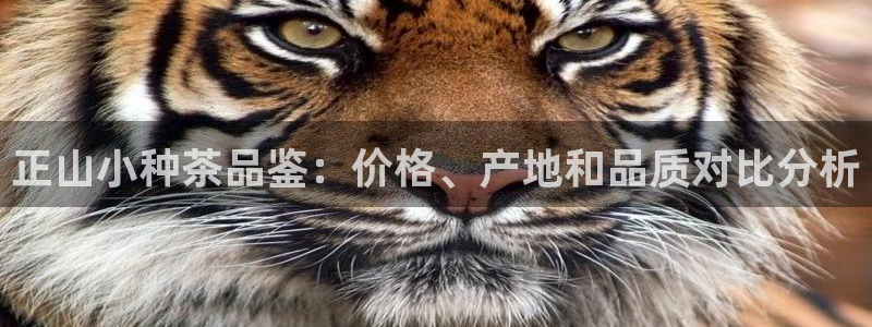 金年会