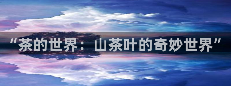 金年会体育app官网