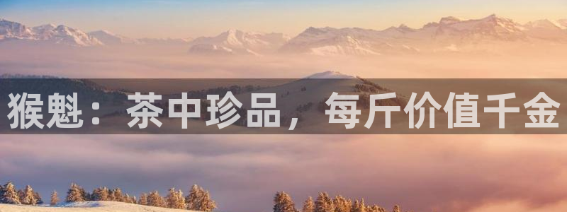 金年会体育下载app