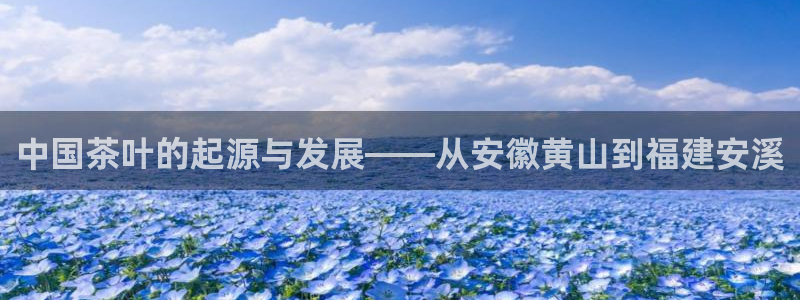 金年会娱乐下载app