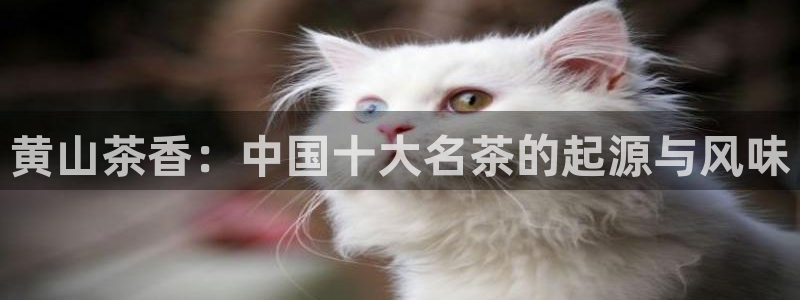 金年会娱乐和马竞