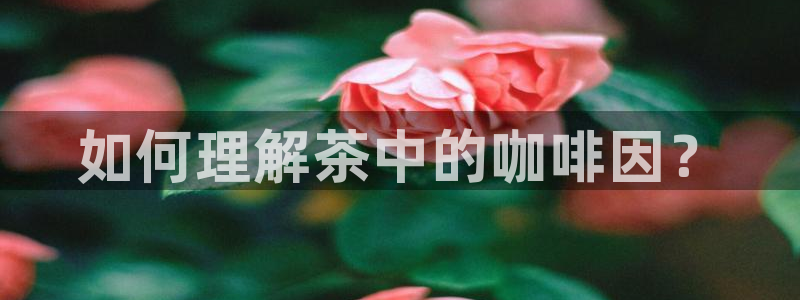 金年会综合APP