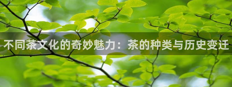 金年会6088070