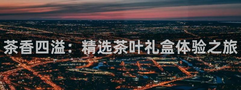 金帆年会2019