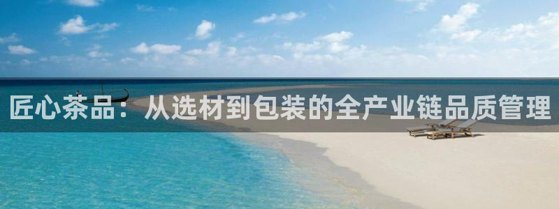 金年会电子游戏