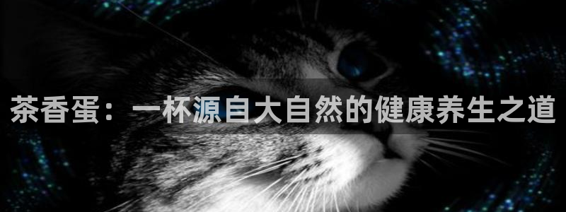 金实年会