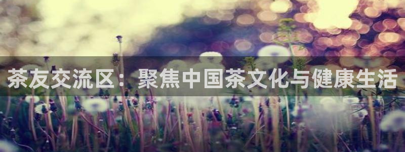 金年会赞助曼联