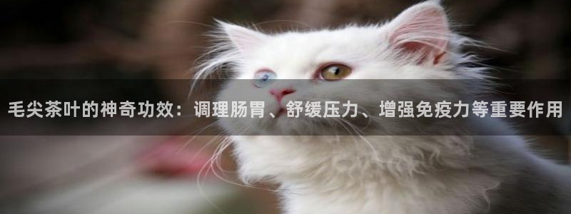 金年会app下载中国金年会