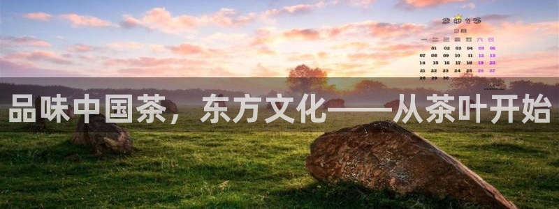 年会金句心得