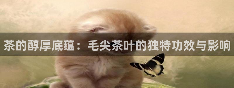 金实年会