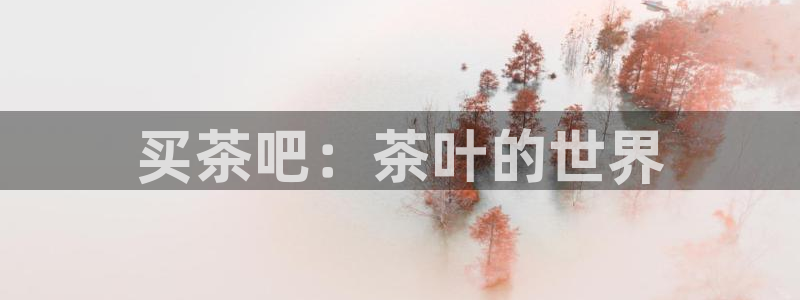金年会娱乐官网