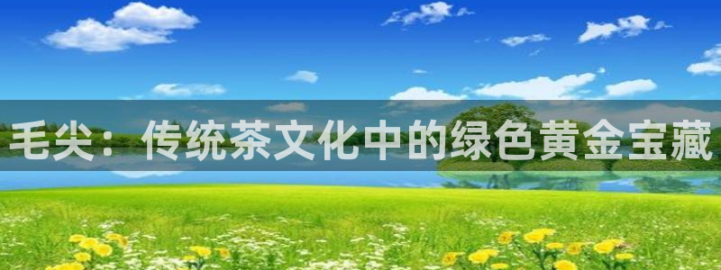 金年会6766澳门联合