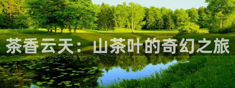 亚博金年会