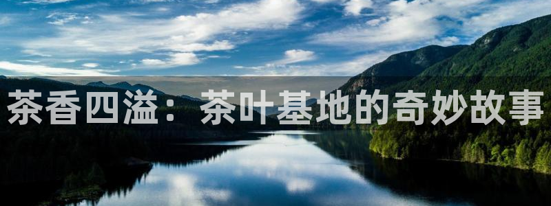金年会不给提现