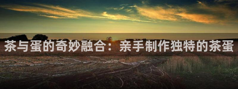 金年会赞助商