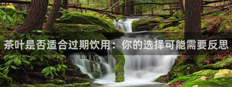 金年会手机官网