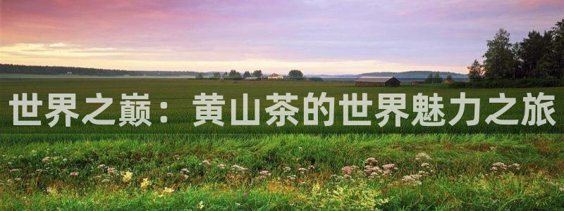 金年会投注官网