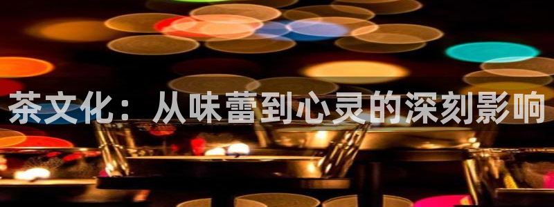 金诺利年会