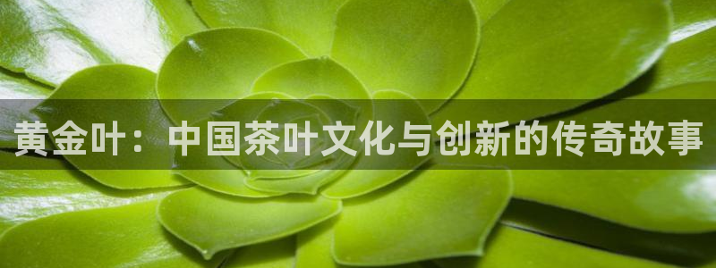 金年会平台是不是大台子
