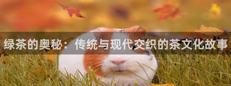 金年会在线