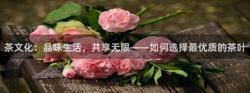 金年会体育官方网站