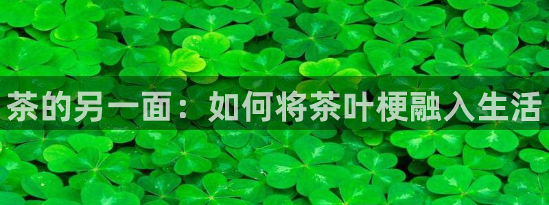 金年会吧