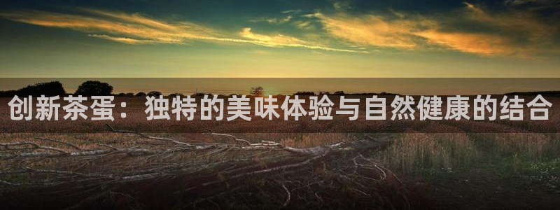 金金年会