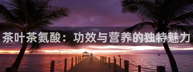 金年会登陆