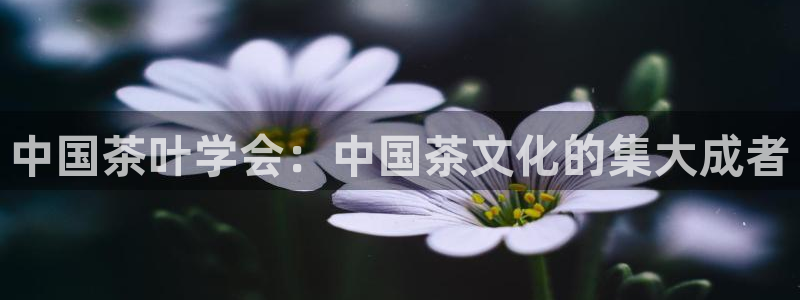 金年会棋牌