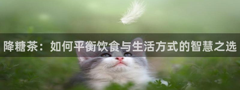 金年会娱乐提现
