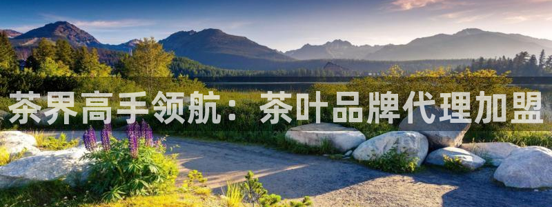 金年会彩票下载app