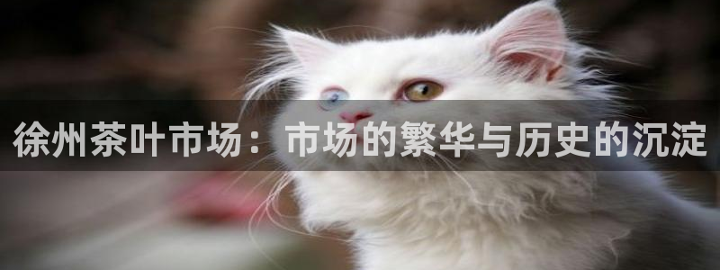 金年会金字招牌信誉至上