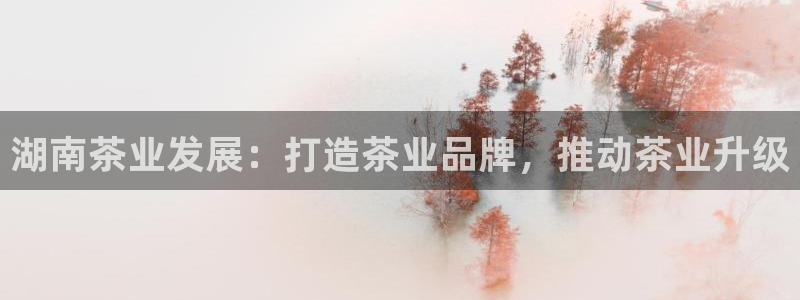 金科年会图片