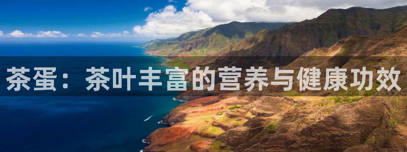 金年会app桌面