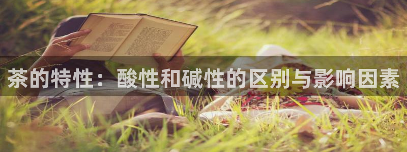 金年会电子