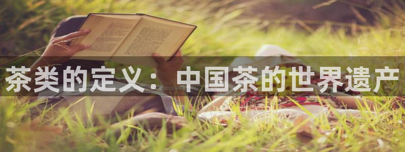 金进年会