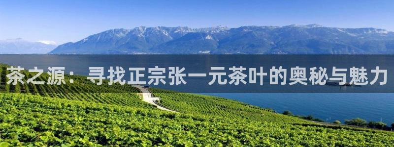 金年会金年华