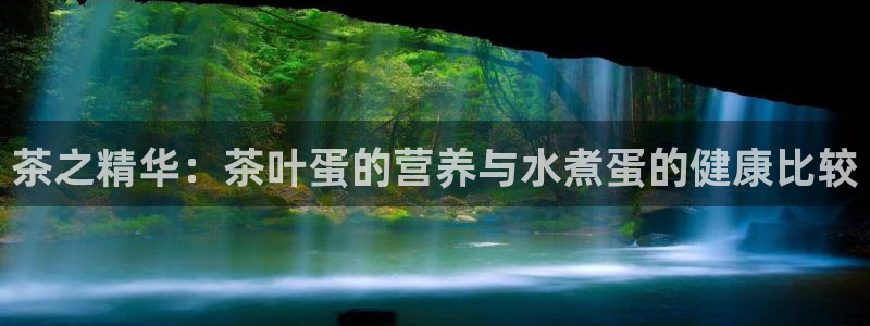 金年会平台是什么