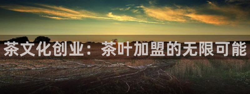 金年会电子游戏app