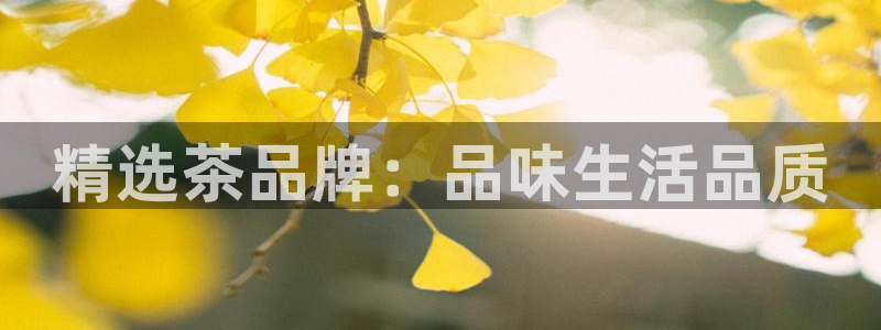金年会是真的吗