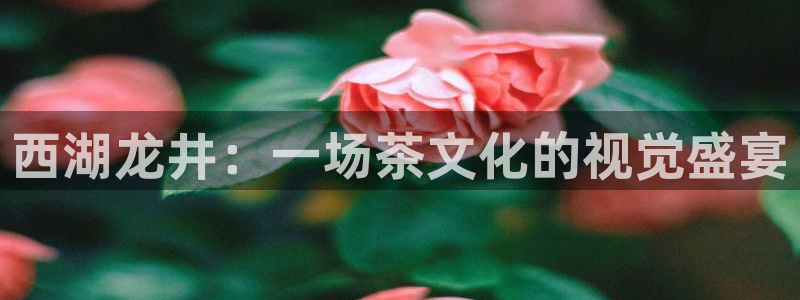 金年会在线