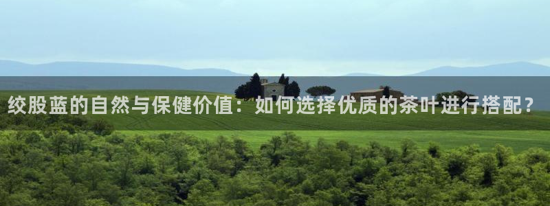 金年会娱乐