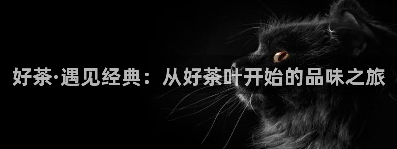 金年会入口网站