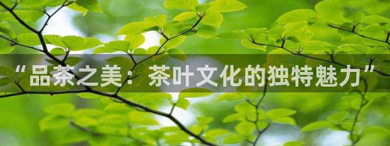 金年会活动