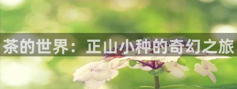 金年会体育官方下载