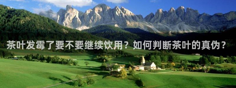 金年会电子游戏app